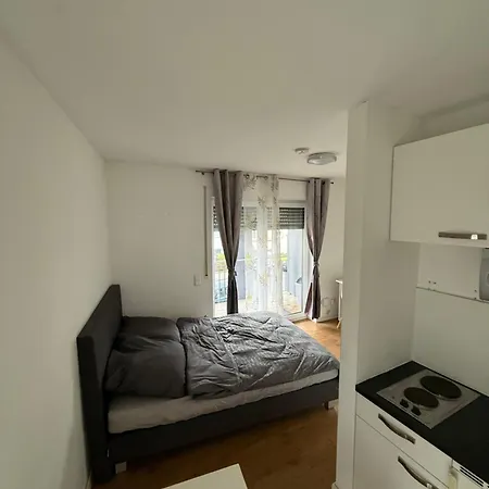 1 Zimmerappartement In Aschaffenburg アシャッフェンブルク